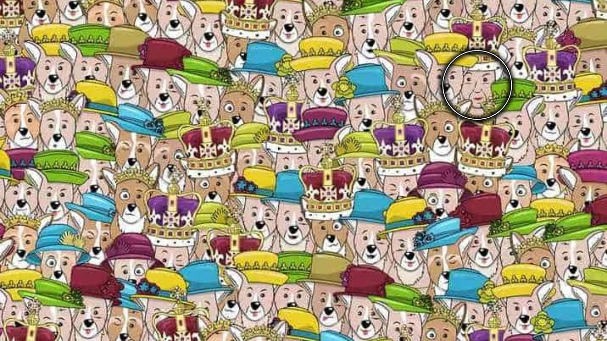 Optical Illusion Eye Test: Can you Find the hidden queen among corgis in 6 seconds!