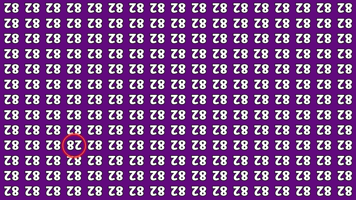 Optical Illusion IQ Test: Are You A Genius? Within 6 Seconds Spot The Inverted 28 among Inverted 82s