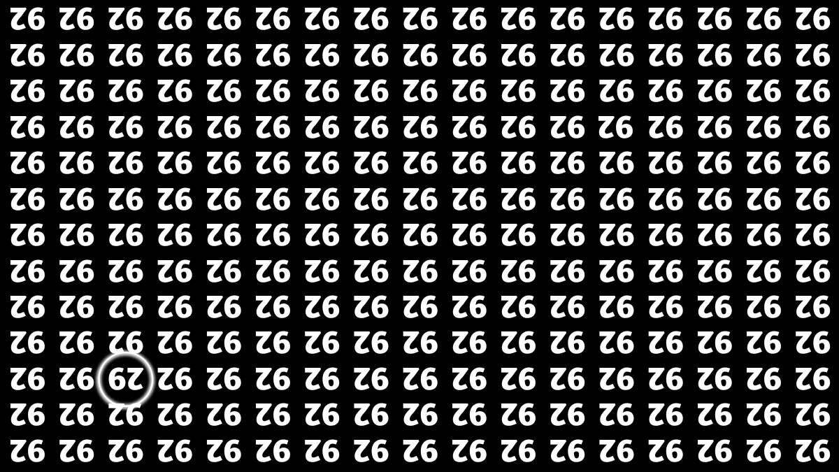 Optical Illusion IQ Test: Are You A Genius? Within 6 Seconds Spot The Inverted 29 among Inverted 92s