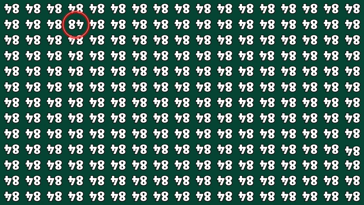 Optical Illusion IQ Test: Are You A Genius? Within 6 Seconds Spot The Inverted 48 among Inverted 84s