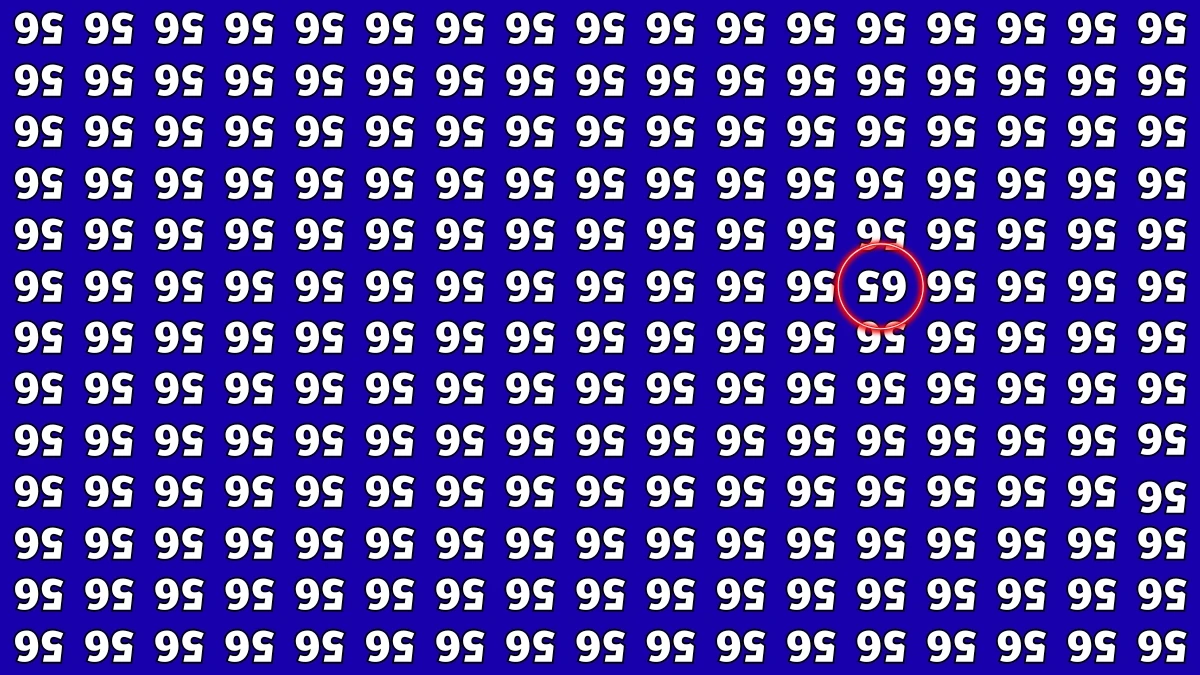 Optical Illusion IQ Test: Are You A Genius? Within 6 Seconds Spot The Inverted 65 among Inverted 56s