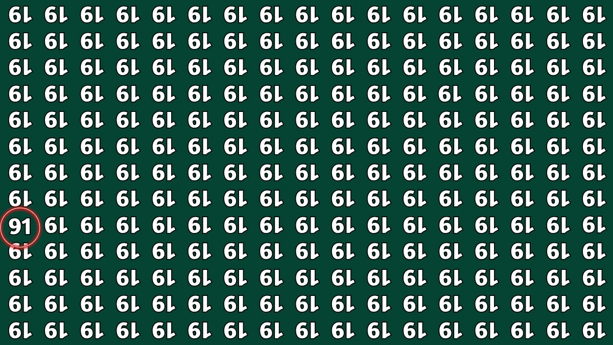 Optical Illusion IQ Test: Are You A Genius? Within 9 Seconds Spot The Inverted 91 among Inverted 19s