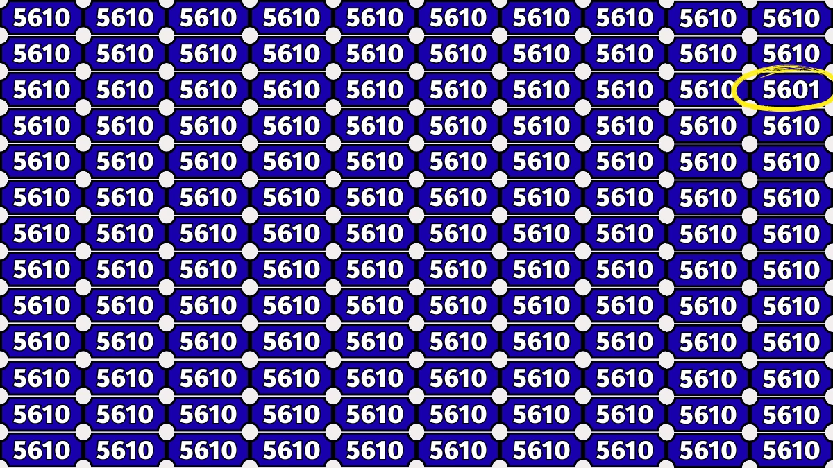 Optical Illusion Puzzle IQ Test: Within 6 Seconds Spot The Number 5601 among 5610s