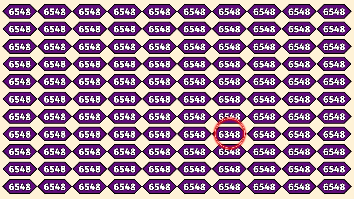 Optical Illusion Puzzle IQ Test: Within 9 Seconds Spot The Number 6348 among 6548s