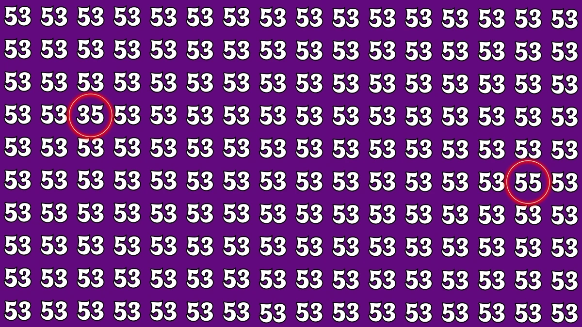 Optical Illusion: Within 5 Seconds Spot The Number 35 and 55 among 53s