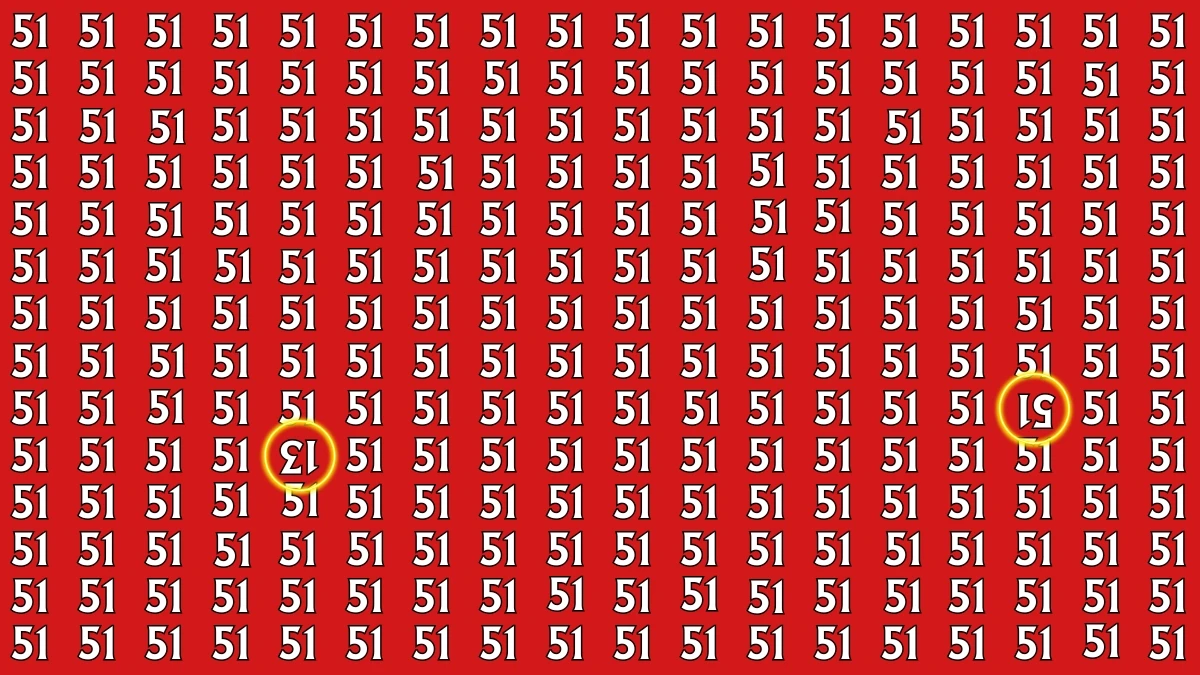 Optical Illusion: Within 6 Seconds Spot The Inverted 13 and 51 among 51s