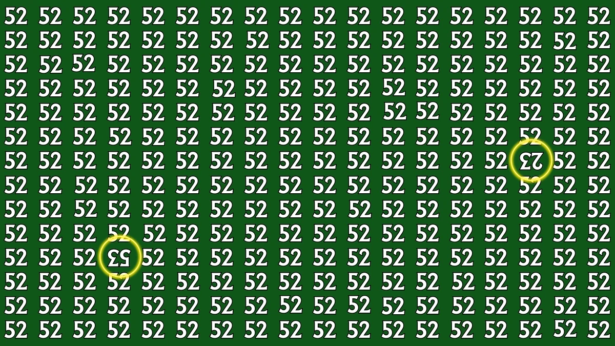 Optical Illusion: Within 6 Seconds Spot The Inverted 23 and 53 among 52s