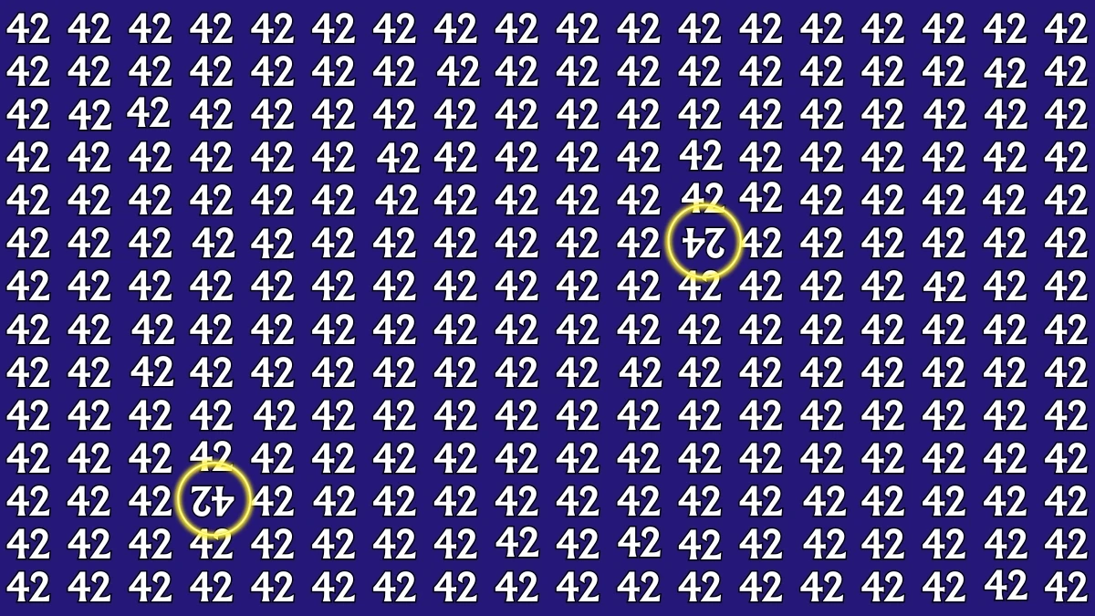 Optical Illusion: Within 6 Seconds Spot The Inverted 24 and 42 among 42s