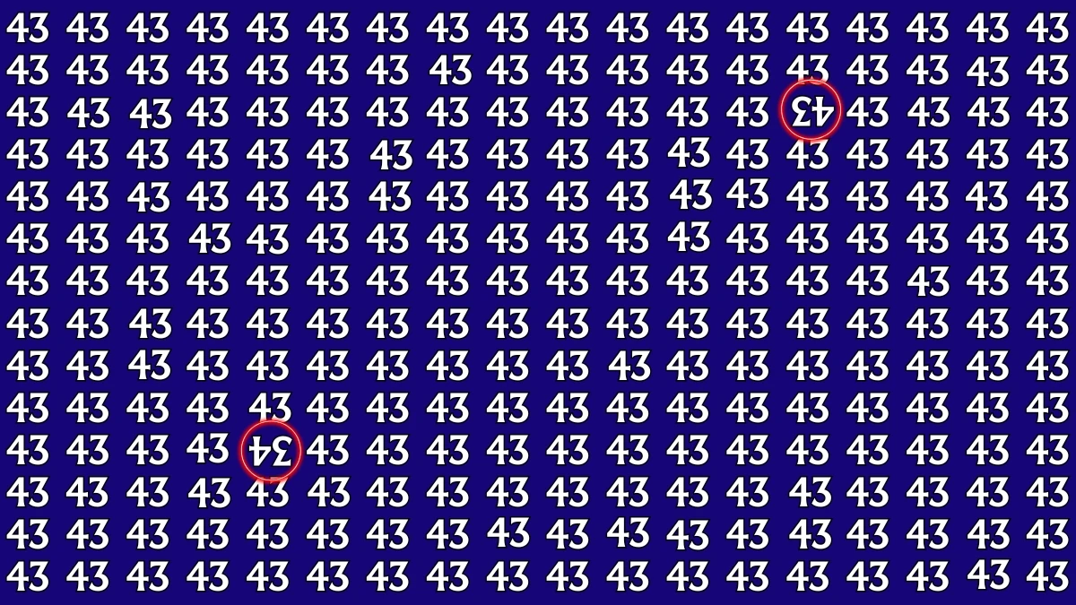 Optical Illusion: Within 6 Seconds Spot The Inverted 34 and 43 among 43s