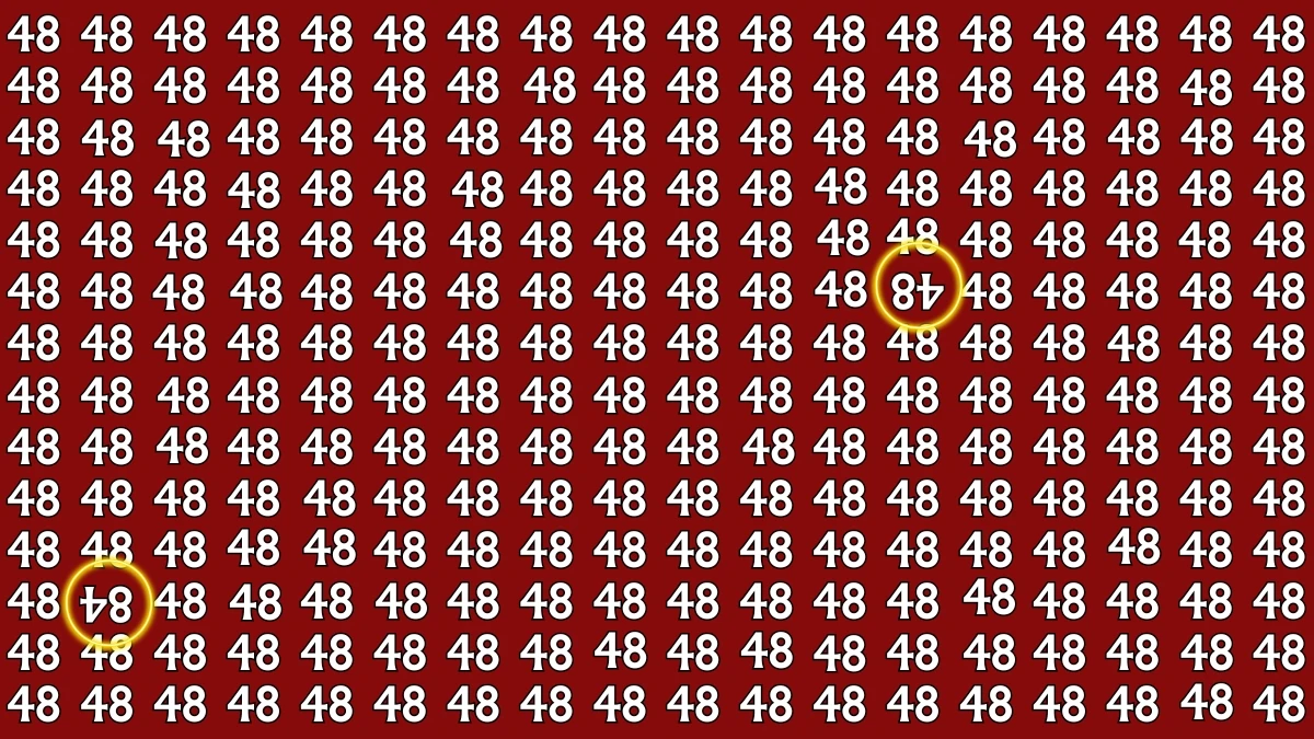 Optical Illusion: Within 6 Seconds Spot The Inverted 48 and 84 among 48s