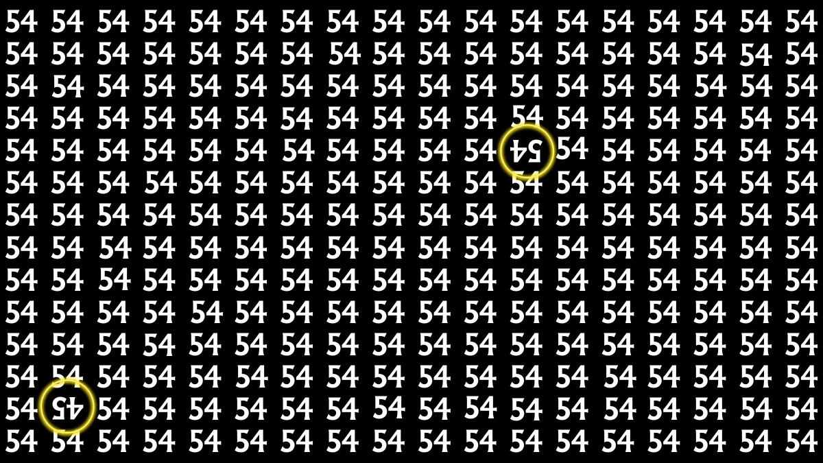 Optical Illusion: Within 6 Seconds Spot The Inverted 54 and 45 among 54s