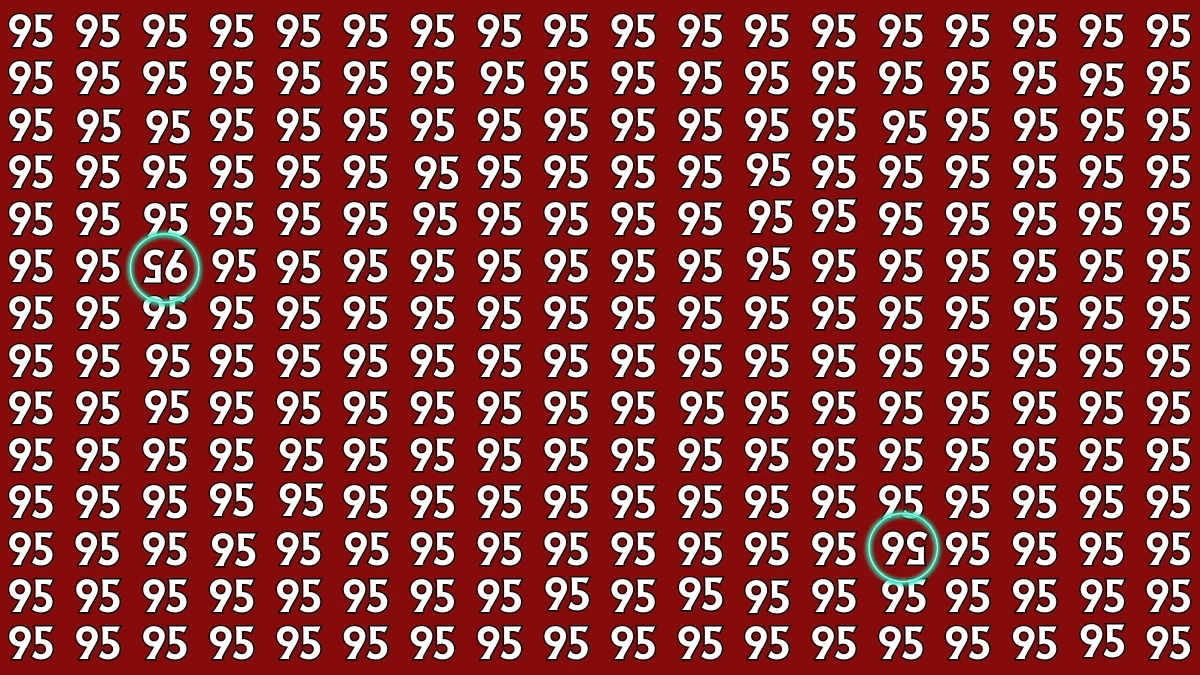 Optical Illusion: Within 6 Seconds Spot The Inverted 56 and 95 among 95s