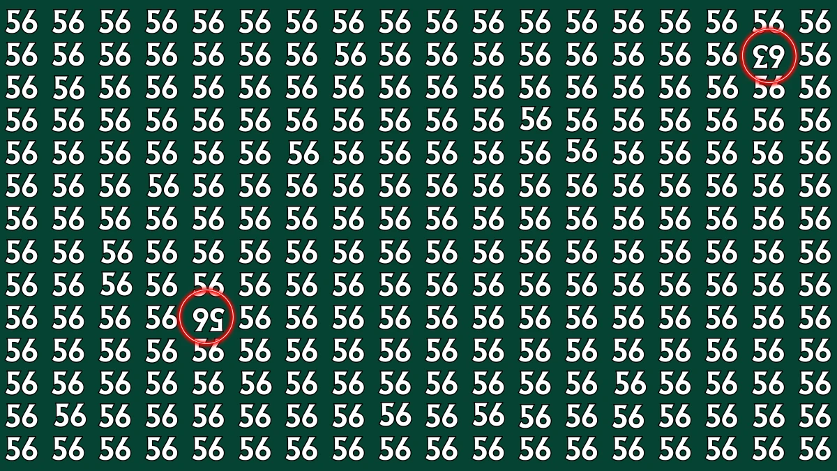Optical Illusion: Within 6 Seconds Spot The Inverted 63 and 56 among 56s