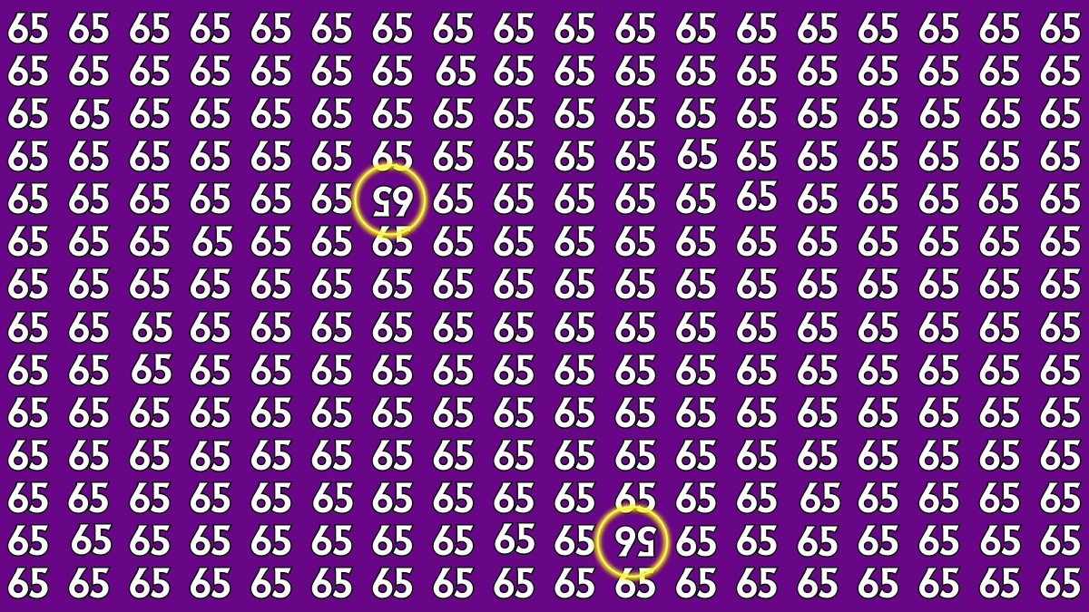 Optical Illusion: Within 6 Seconds Spot The Inverted 65 and 56 among 65s