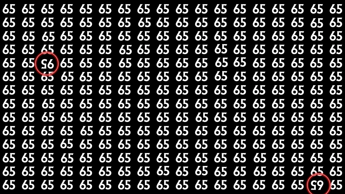 Optical Illusion: Within 6 Seconds Spot The Inverted 65 and 95 among 65s