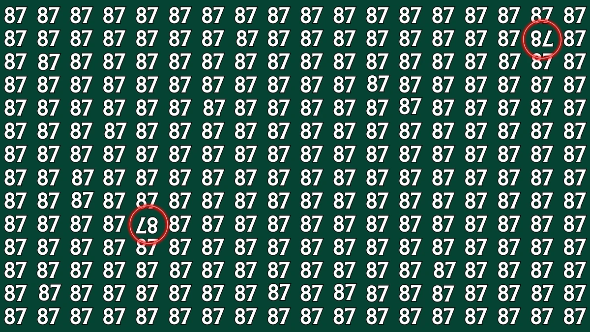 Optical Illusion: Within 6 Seconds Spot The Inverted 78 and 87 among 87s