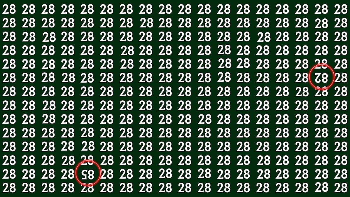 Optical Illusion: Within 6 Seconds Spot The Inverted 82 and 85 among 28s