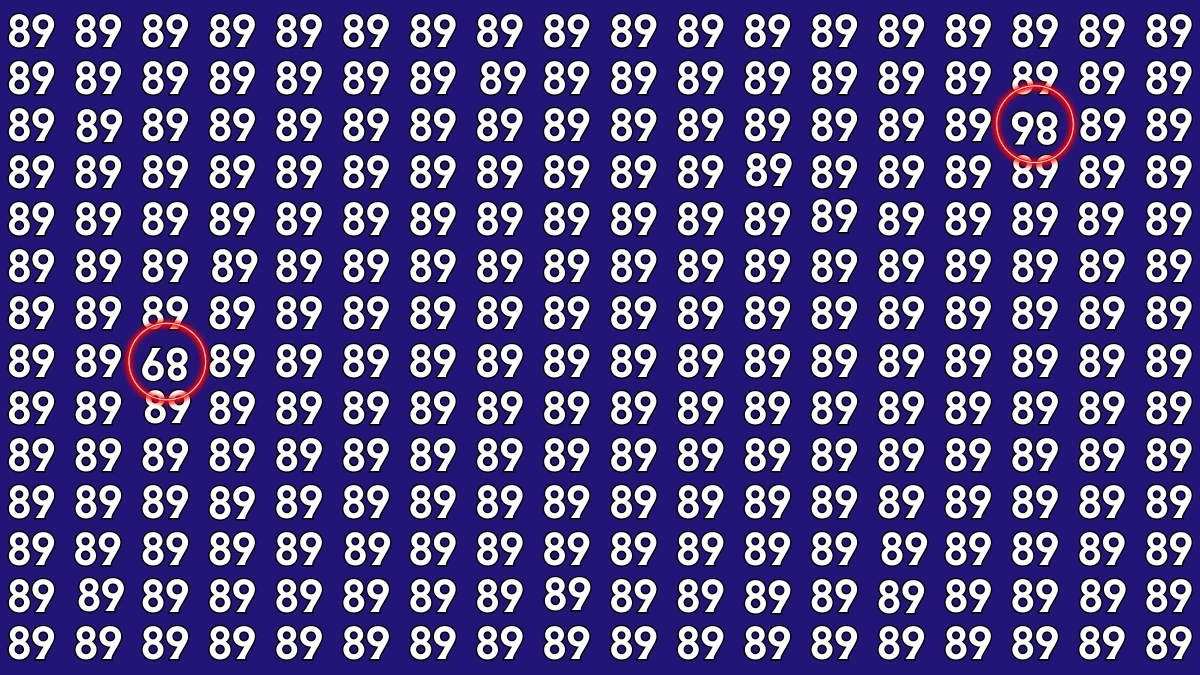 Optical Illusion: Within 6 Seconds Spot The Inverted 86 and 89 among 89s
