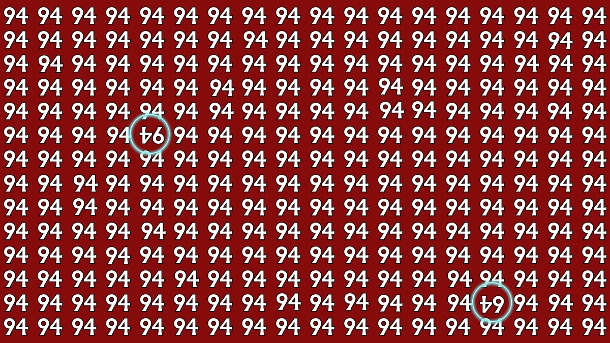 Optical Illusion: Within 6 Seconds Spot The Inverted 94 and 64 among 94s
