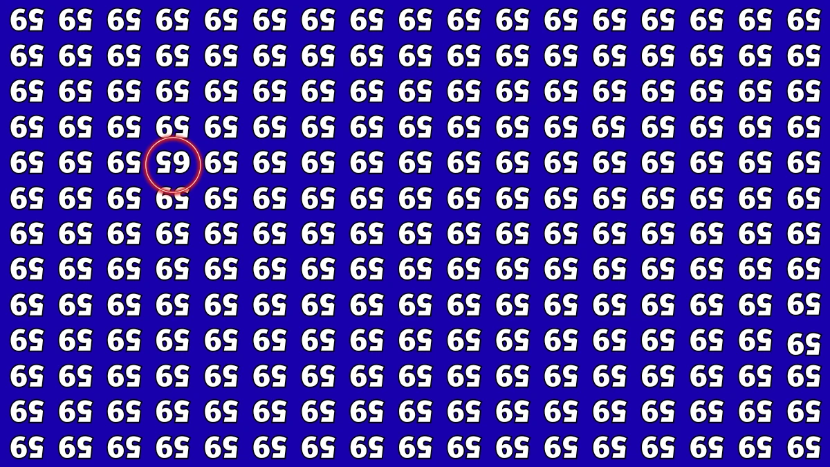 Optical Illusion: Within 7 Seconds Spot The Inverted 65 among Inverted 59s