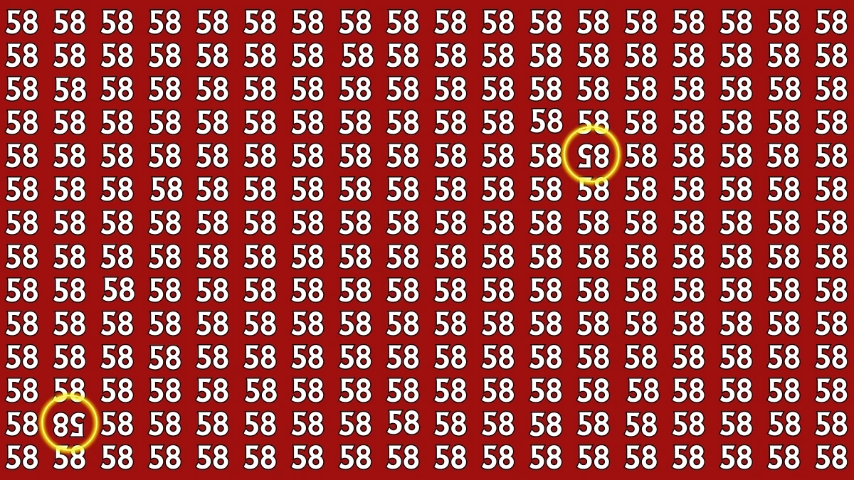 Optical Illusion: Within 8 Seconds Spot The Inverted 85 and 58 among 58s