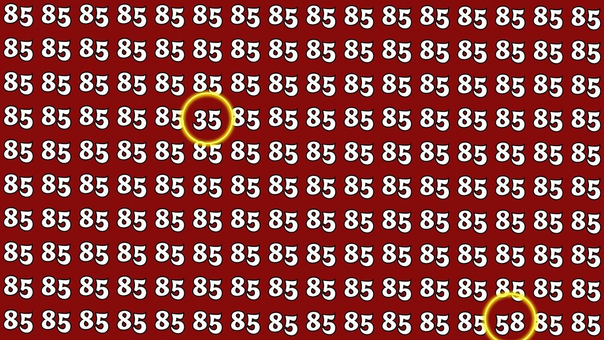 Optical Illusion: Within 8 Seconds Spot The Number 58 and 35 among 85s