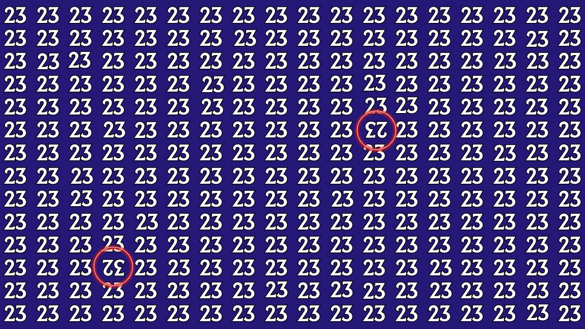 Optical Illusion: Within 9 Seconds Spot The Inverted 23 and 32 among 23s