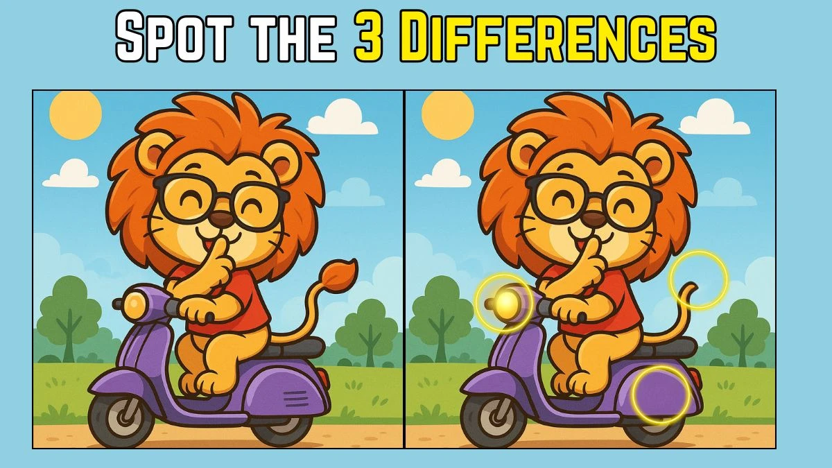 Spot the Difference: Can you Find 3 differences between the Lion driving a Scooter pictures in 10 seconds!