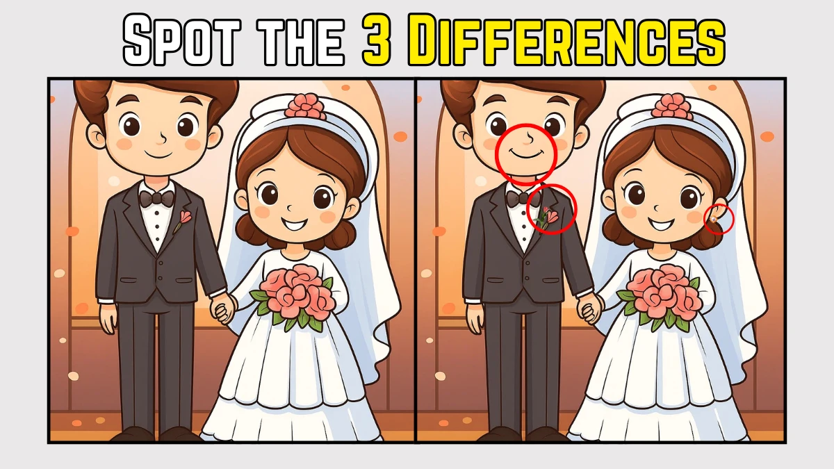 Spot the Difference: Only a real Sherlock Holmes Can Spot the 3 Differences in this Couple Image in 9 Secs