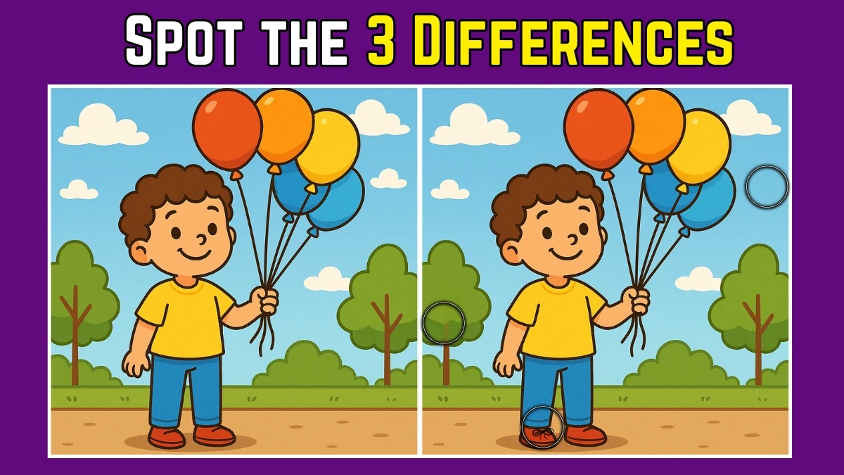 Spot the Difference: Within 7 Seconds Spot The 3 Differences in this Boy Standing With Balloons Image