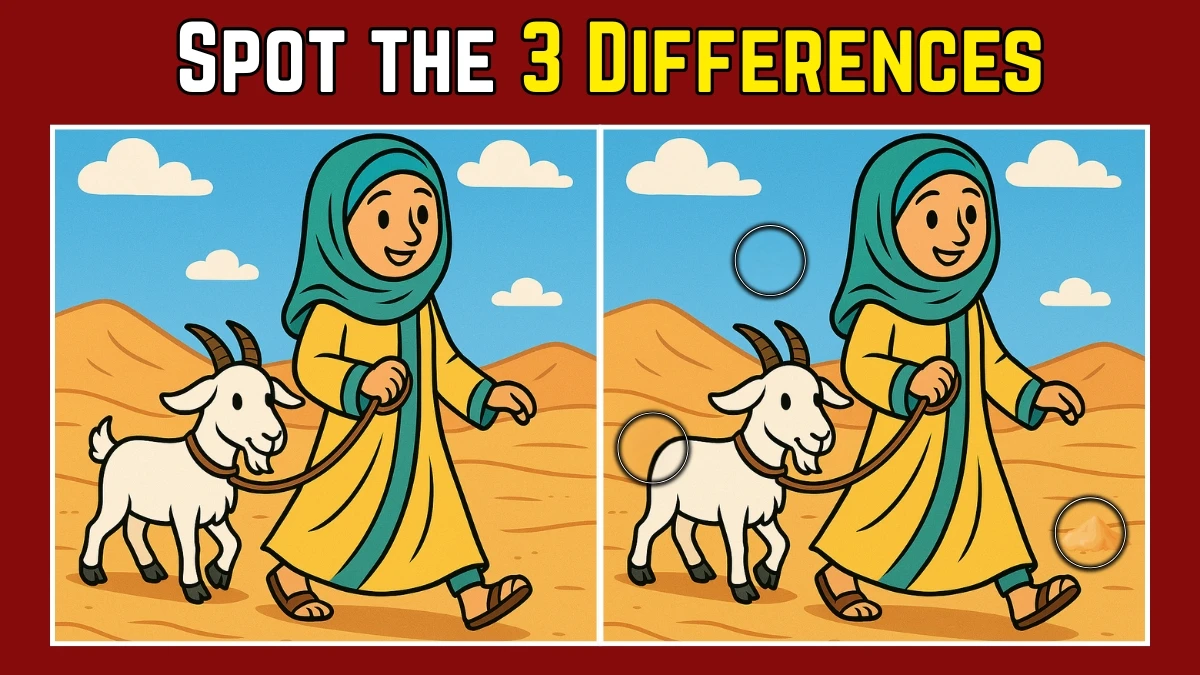 Spot the Difference: Within 7 Seconds Spot The 3 Differences in this Girl and her Goat Image
