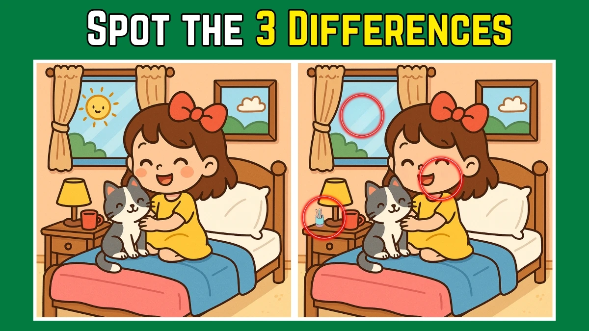 Spot the Difference: Within 7 Seconds Spot The 3 Differences in this Girl Sleeping with Cat Image