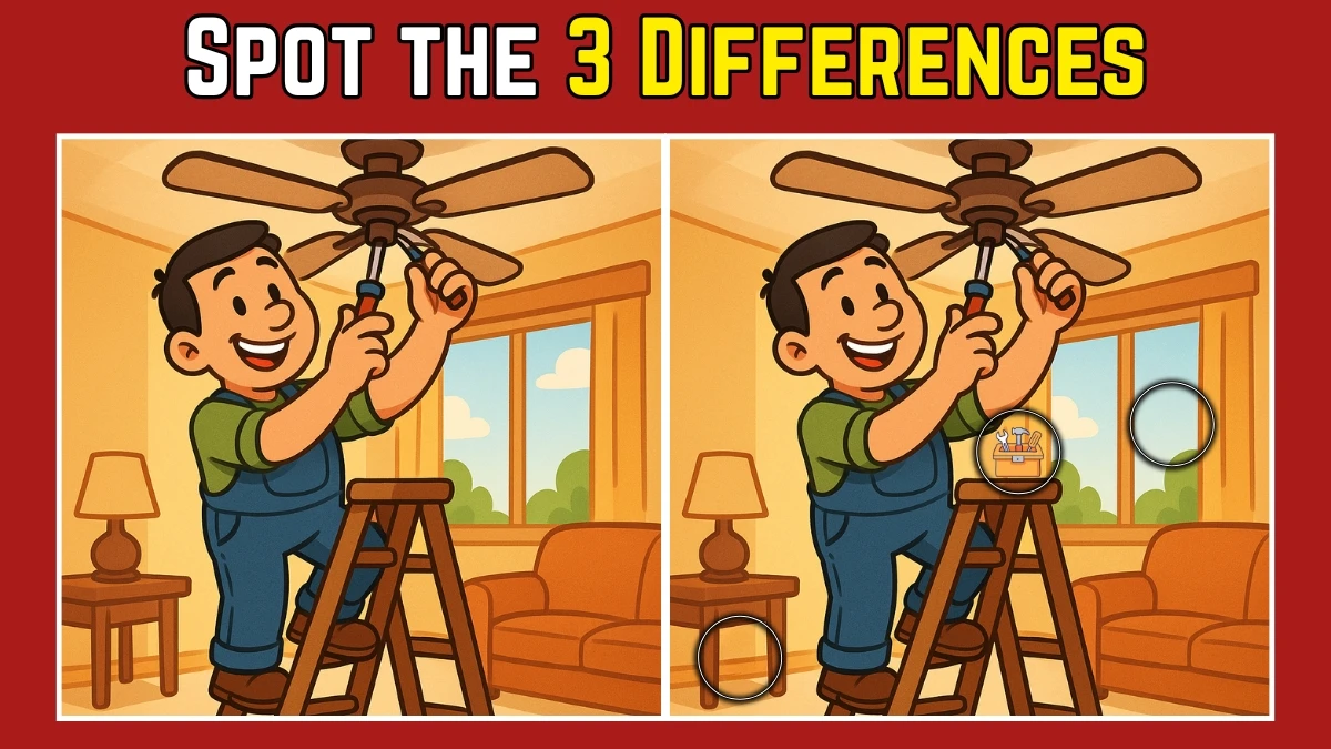 Spot the Difference: Within 7 Seconds Spot The 3 Differences in this Man Repairing Fan Image