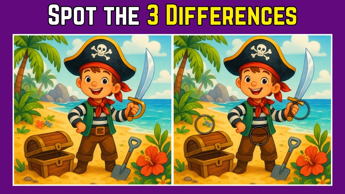 Spot the Difference: Within 7 Seconds Spot The 3 Differences in this Pirate Boy Image