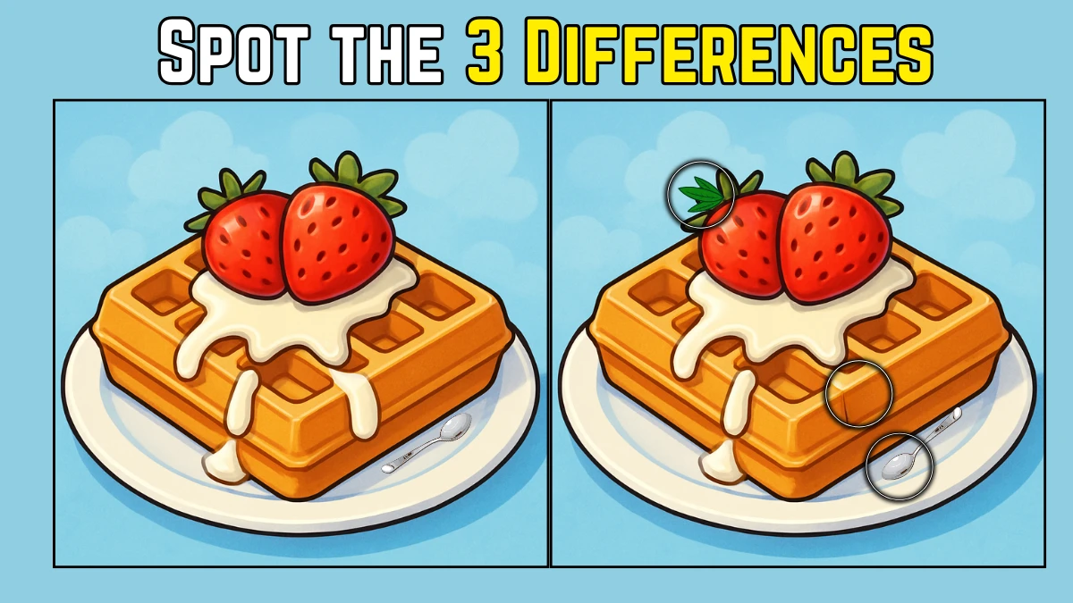 Spot the Difference: Within 7 Seconds Spot The 3 Differences in this Waffle Image