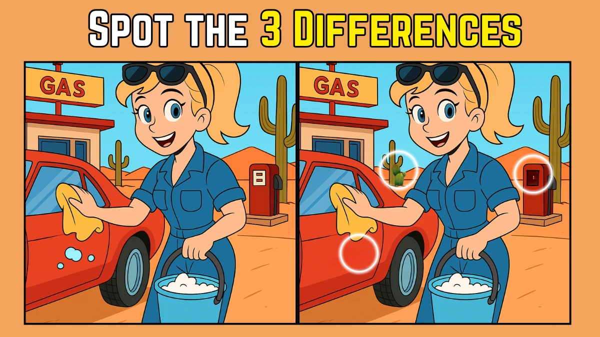 Spot the Difference: Within 7 Seconds Spot The 3 Differences in this Women Cleaning Car Image