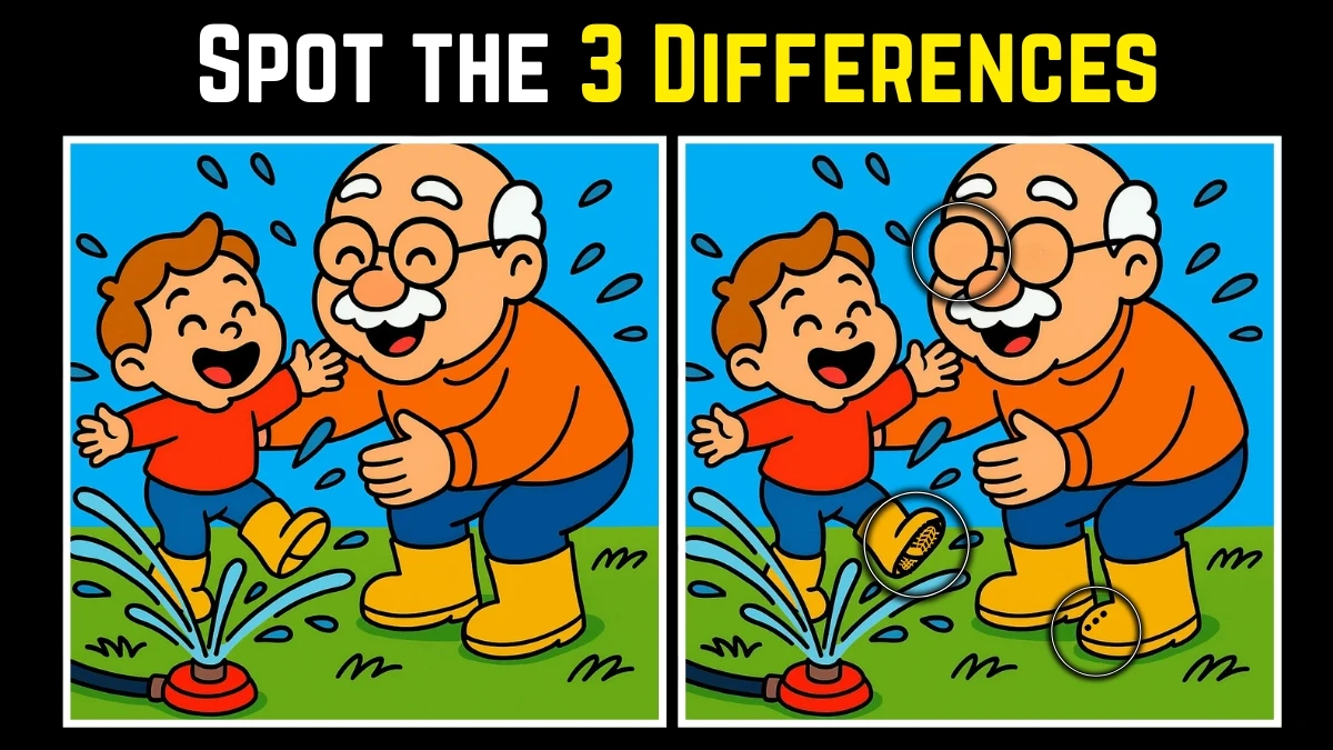 Spot the Difference: Within 8 Seconds Spot The 3 Differences in this Grandpa with Child Image