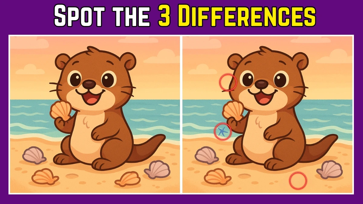 Spot the Difference: Within 8 Seconds Spot The 3 Differences in this Otter Image