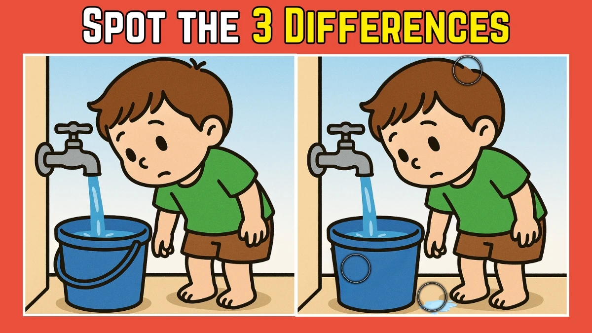 Spot the Difference: Within 9 Seconds Spot The 3 Differences in this Boy Filling Water Image