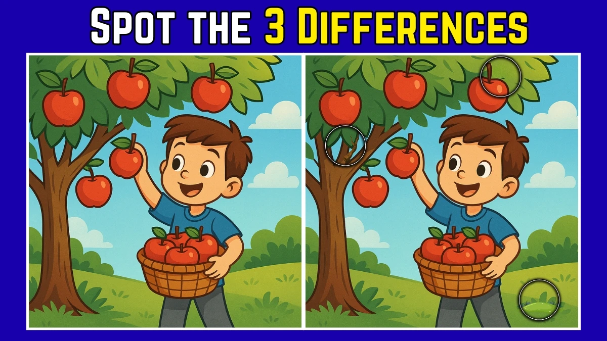 Spot the Difference: Within 9 Seconds Spot The 3 Differences in this Boy Plucking Apple Image