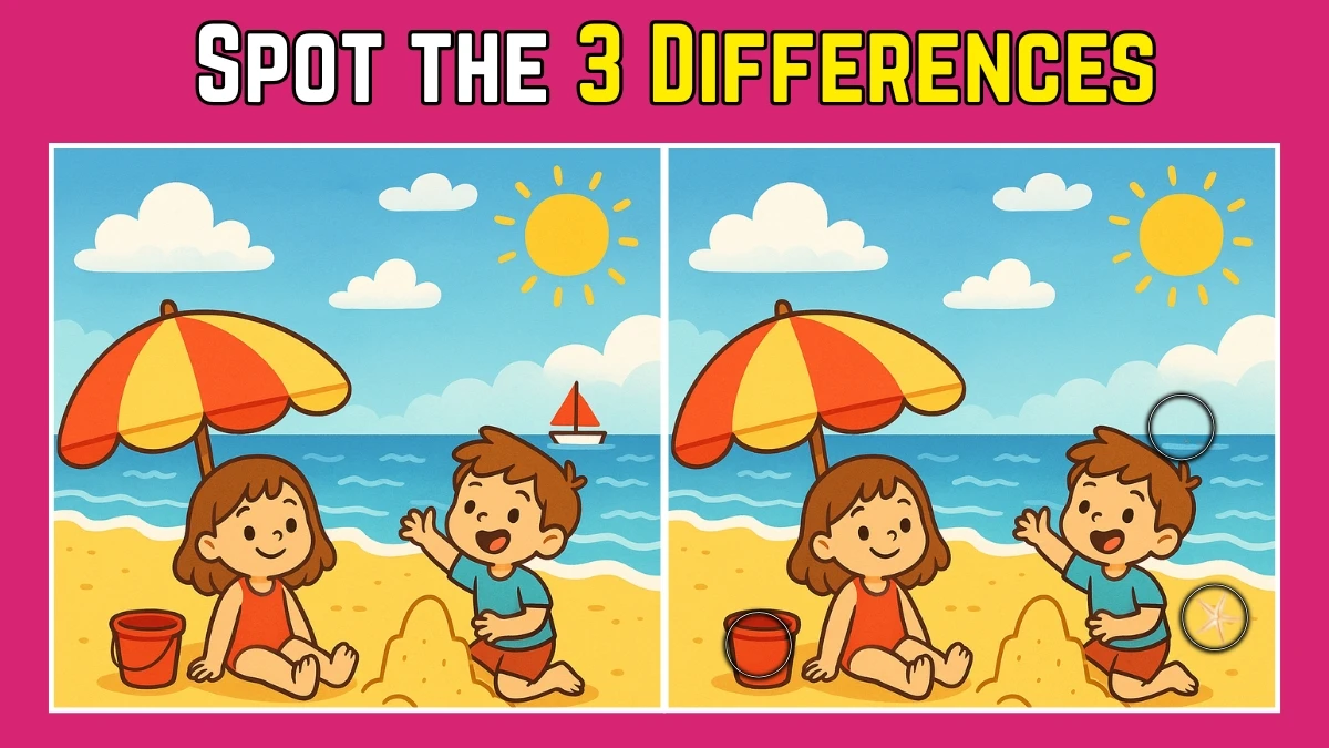 Spot the Difference: Within 9 Seconds Spot The 3 Differences in this Children Playing on the Beach Image