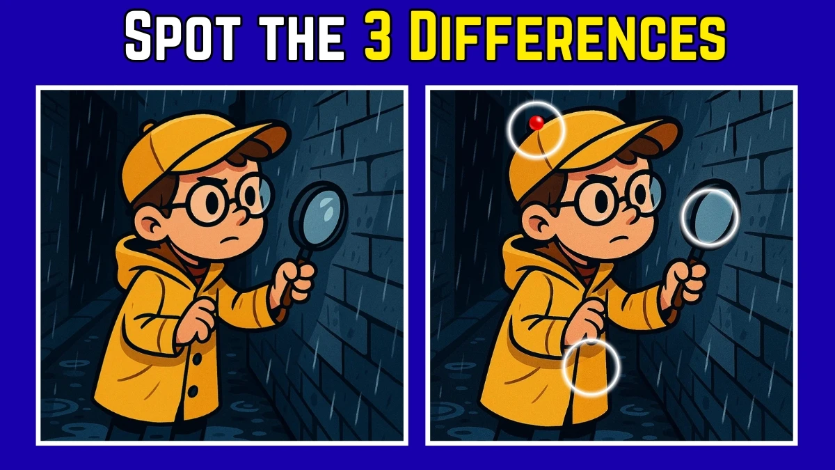 Spot the Difference: Within 9 Seconds Spot The 3 Differences in this Detective Image