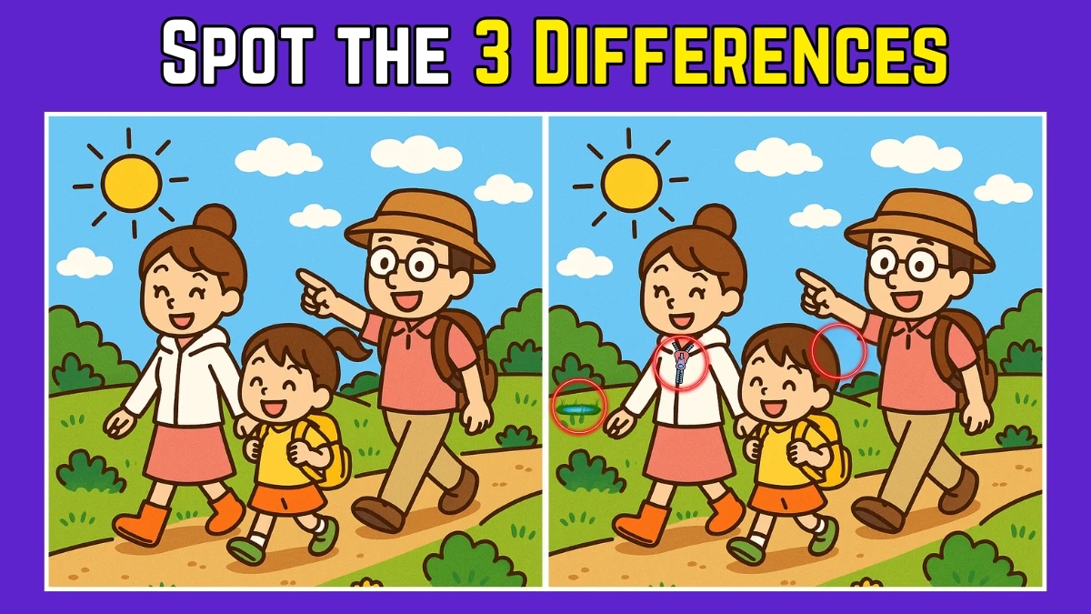 Spot the Difference: Within 9 Seconds Spot The 3 Differences in this Family Vacation Image
