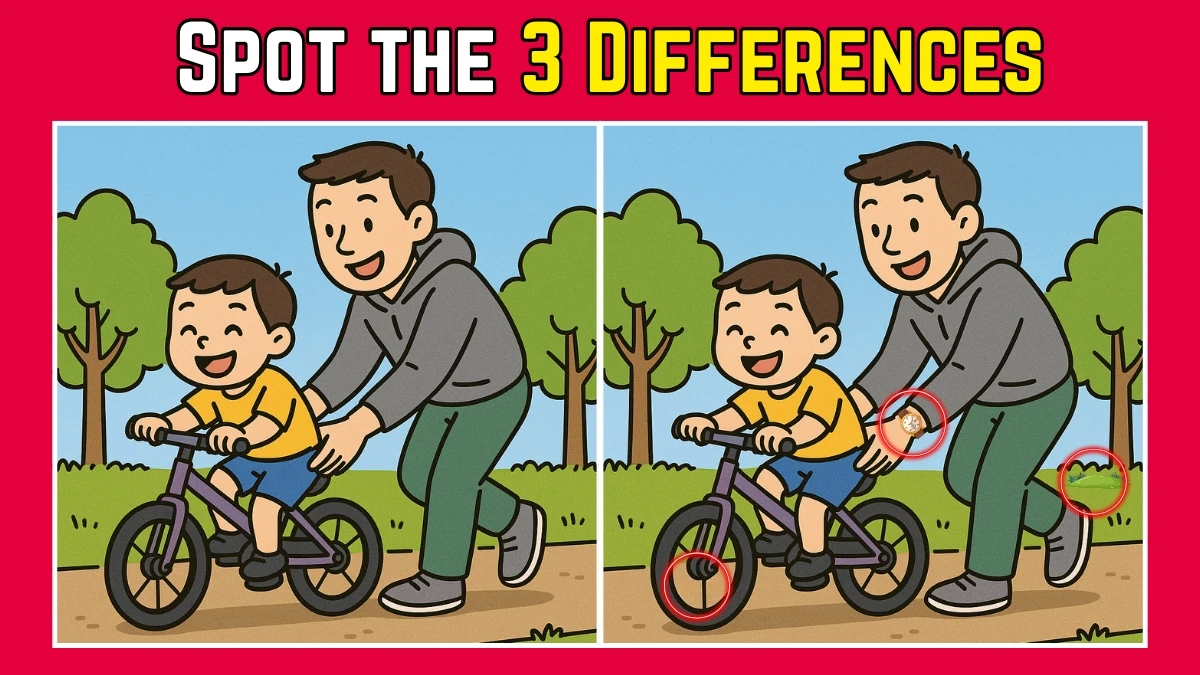 Spot the Difference: Within 9 Seconds Spot The 3 Differences in this Father and Son Image