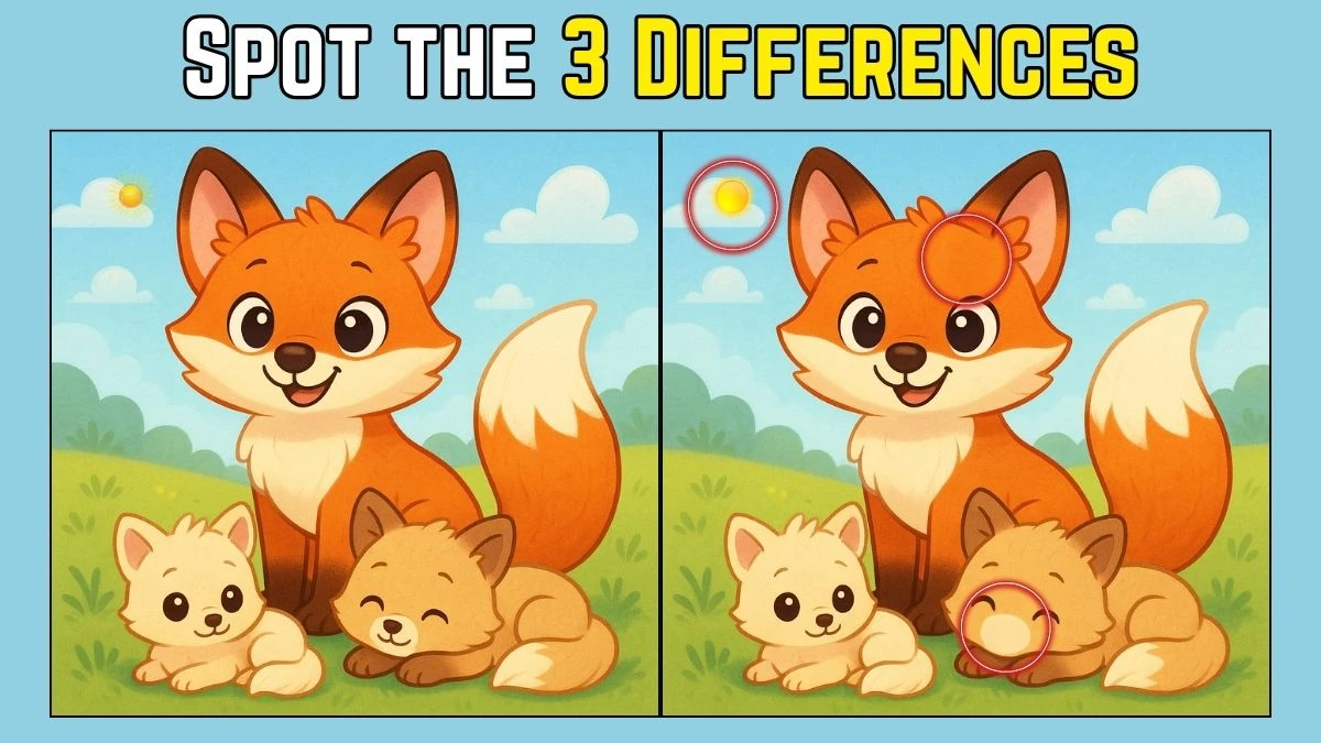 Spot the Difference: Within 9 Seconds Spot The 3 Differences in this Fox Family Image