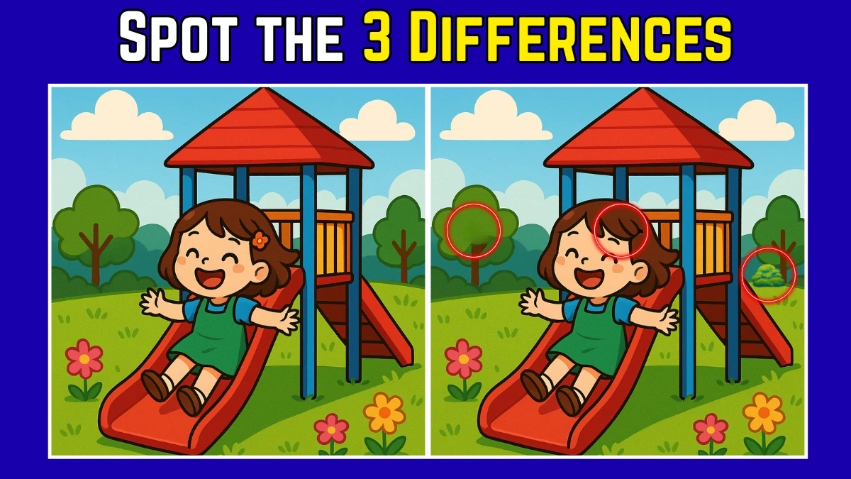Spot the Difference: Within 9 Seconds Spot The 3 Differences in this Girl Playing On Slide Image
