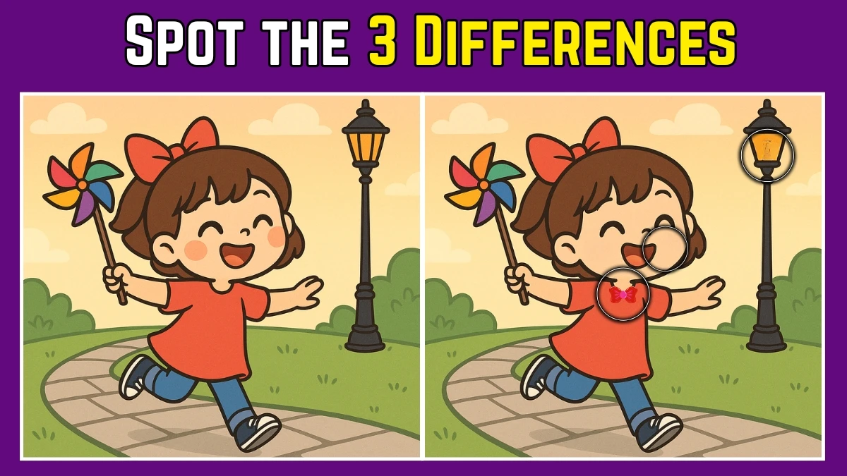 Spot the Difference: Within 9 Seconds Spot The 3 Differences in this Girl with Pinwheel Image