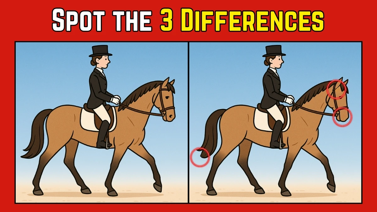 Spot the Difference: Within 9 Seconds Spot The 3 Differences in this Horse Rider Image