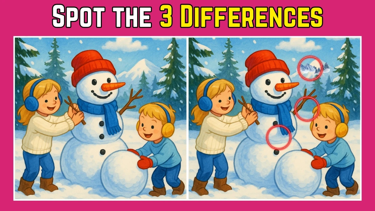 Spot the Difference: Within 9 Seconds Spot The 3 Differences in this Kids Playing in Snow Image