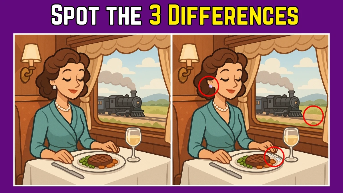 Spot the Difference: Within 9 Seconds Spot The 3 Differences in this Lunch in Train Image